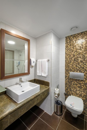 Standart Oda Banyosu